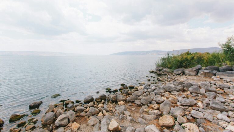 A Movement Case Study from Galilee